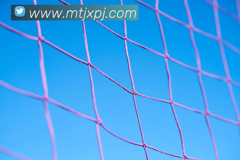 澳门新葡京官方网站平台生态图