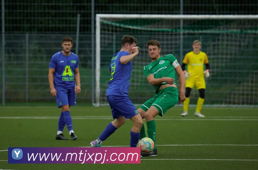 澳门新葡京官方网站APP 封面图